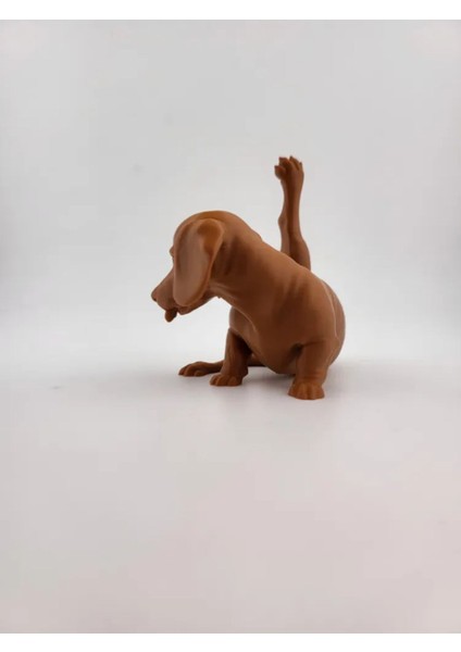 Sevimli Dachshund Minyatür Süs Köpeği