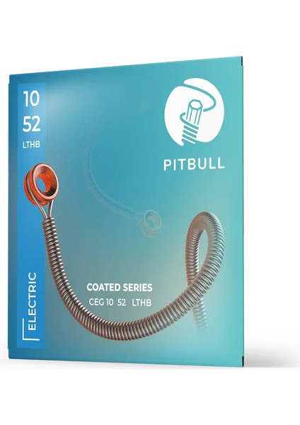 Coated Seri Elektro Gitar Teli Ceg 10-52 Lthb 3psfb 3'lü Set+Fretwrap+Askı Kilidi