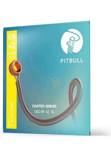 Coated Seri Elektro Gitar Teli Ceg 09-42 Sl 3psfb 3'lü Set+Fretwrap+Askı Kilidi