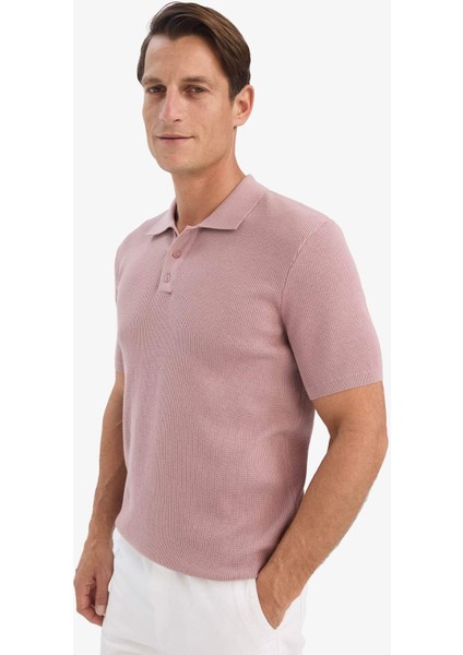 %100 Pamuk Standart Fit Polo Yaka Kısa Kollu Triko Tişört E5866AX25SP
