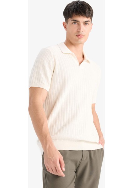%100 Pamuk Standart Fit Polo Yaka Kısa Kollu Triko Tişört E2884AX25SM modelleri