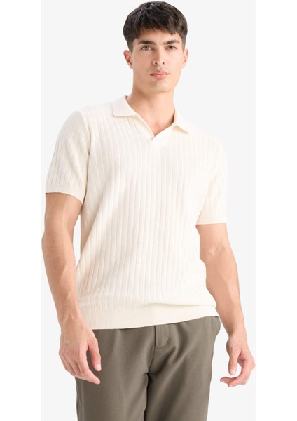 %100 Pamuk Standart Fit Polo Yaka Kısa Kollu Triko Tişört E2884AX25SM fırsatları