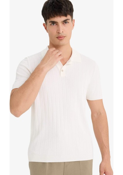 Standart Fit Polo Yaka Triko Kısa Kollu Polo Tişört F6063AX25SM