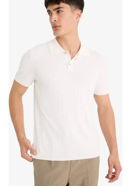 Standart Fit Polo Yaka Triko Kısa Kollu Polo Tişört F6063AX25SM modelleri