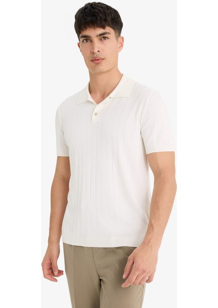 Standart Fit Polo Yaka Triko Kısa Kollu Polo Tişört F6063AX25SM fırsatları