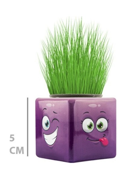 Çim Adam Mini Küp Emoji Figürlü 1 Adet fiyatları