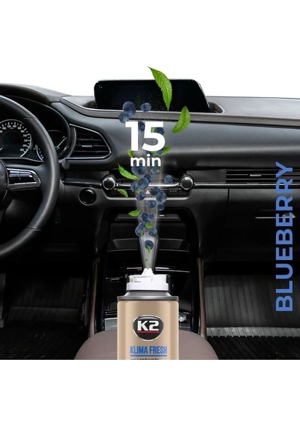 Klima Refresh Blueberry Klima Ortam Kokusu 150 ml