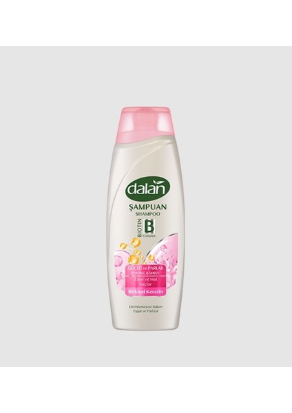 Şampuan Güçlü ve Parlak 450 ml - Dalan Kolay Tarama Saç Kremi 2'li Set