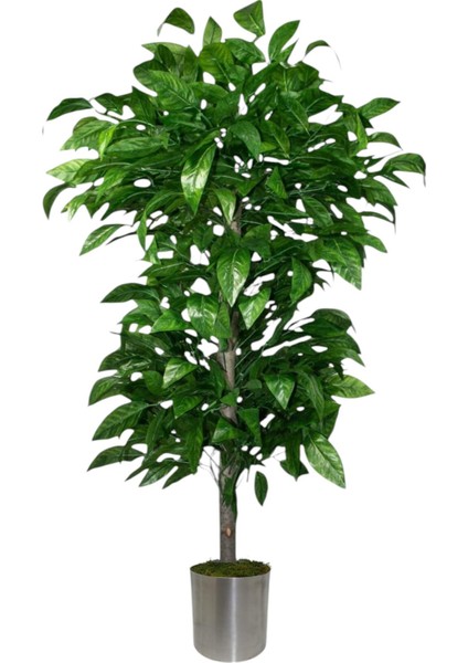 Yapay Ceviz Agacı 180 cm Metal Saksı