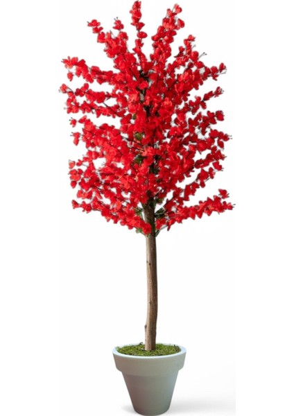 Yapay Kırmızı Bahar Dalı Agacı 180 cm Beyaz Plastık Saksı