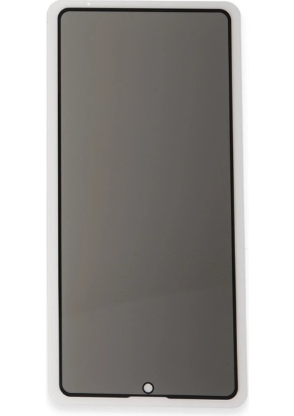 Samsung Galaxy S21 Fe 3D Statik Hayalet Cam Ekran Koruyucu Zrnet