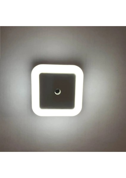 CT-9500 (2 Adet) 1W Fişli Fotoselli Gece Lambası Beyaz Renk