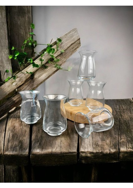 Samatya Modern 6 Lı Çay Bardağı