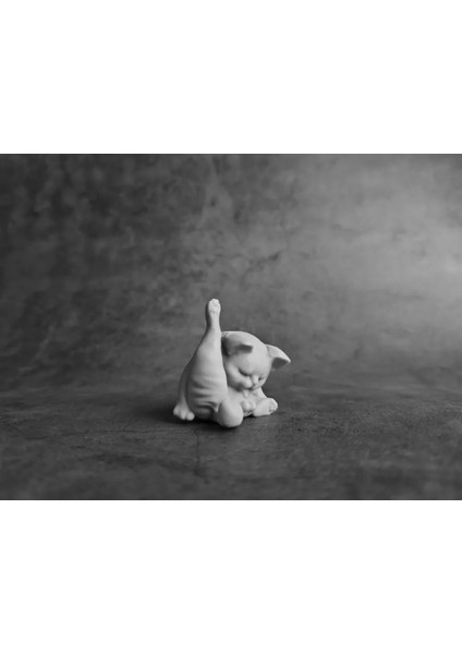 Temizlenen Kedi Anahtarlık | 7 cm