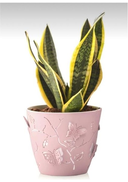 1.40 Lt Pembe Renk 3D Kelebek Desenli Dekoratif Plastik Saksı