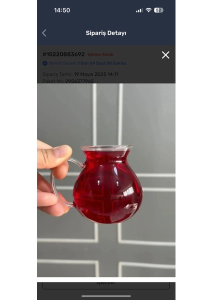 Cam Bardak Keyfi Ala Kulplu Ince Cam