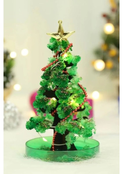 Sihirli Çam Ağacı - 24 Saatte Yeşeren Dekoratif Yılbaşı Ağacı- Magic Tree - Magic Sakura