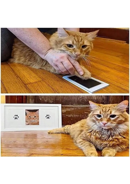 Kedi Köpek Pati Izi Fotoğraf Çerçevesi Seti
