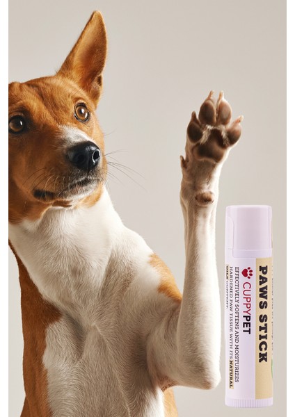 Köpek Pati Stick 5 ml