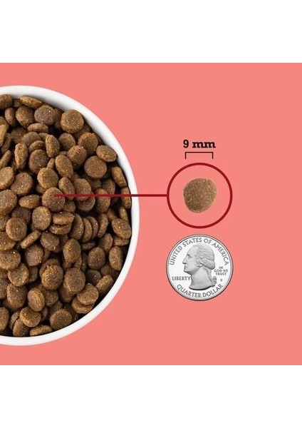 Indoor Yüksek Proteinli (High Protein) Evde Beslenen Kediler Için Yetişkin Kedi maması 1,8 kg
