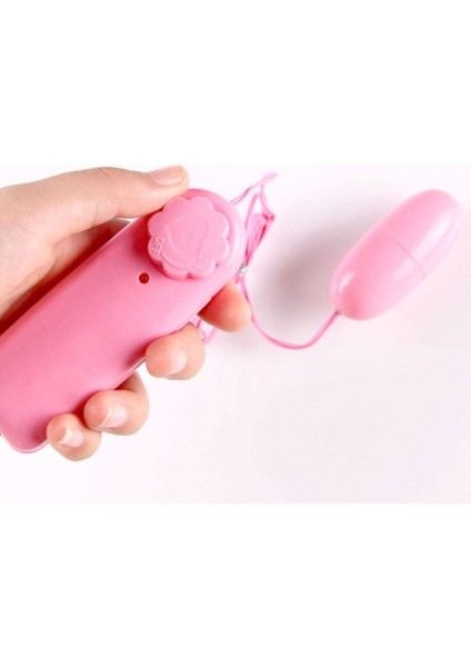 Hızı Ayarlanabilir Kumandalı Mini Vibratör