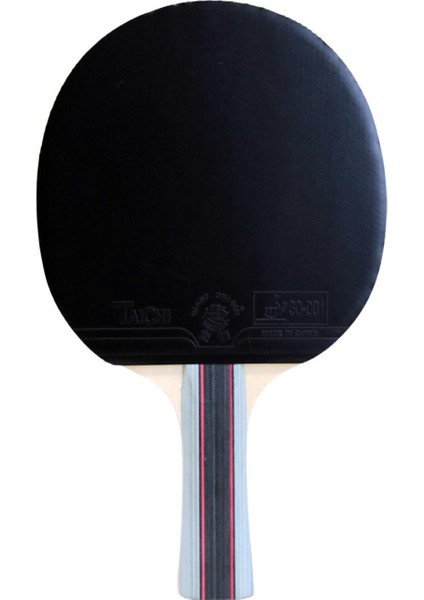 3 Yıldız Masa Tenis Raketi