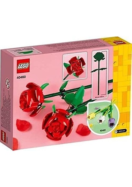 40460 Iconic Rose