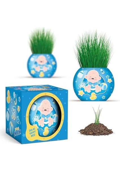 Temalı Çim Adam 6'lı Set - Çocuklar Için Eğitici ve Eğlenceli Bitki Yetiştirme Kiti