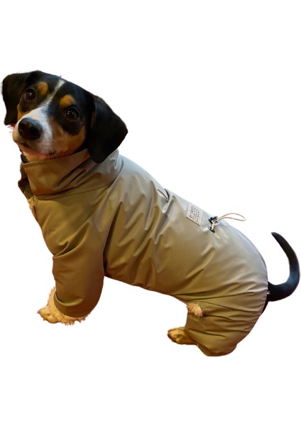 Su Geçirmez Içi Peluşlu Vizon Küçük Irk Köpek Tulum Yağmurluk