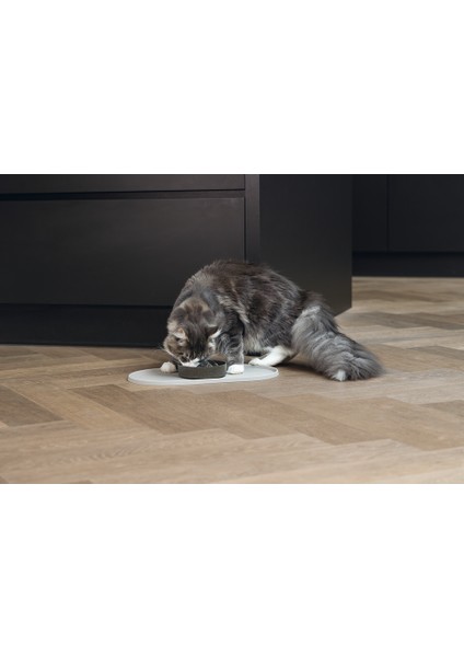 Dbl Mama Su Kabı Servisi, Silikon, Kaymaz, Bej, 45X25X1,5CM fiyatları