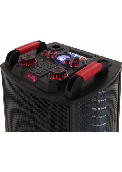-1212S 3000W Taşınabilir Karaoke Hoparlör – Çift Mikrofonlu | Rgb LED Işıklı