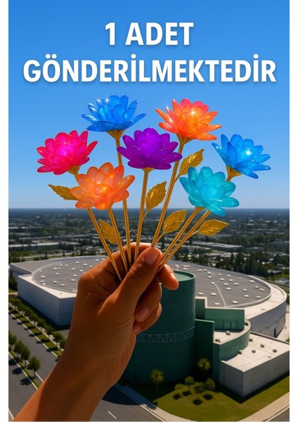 1 Adet Sonsuzluk Gülü Hediyelik Gül - Ev Dekor - Sevgiliye Hediye-Anneler Günü Hediyesi-Solmayan Gü fiyatları