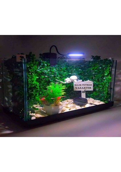 Cam Işıklı Akvaryum Fanus Ledli Aksesuarlı 50X30X20 cm ( 10 Parça Hava Motoru ve Iç Filtre Dahil )