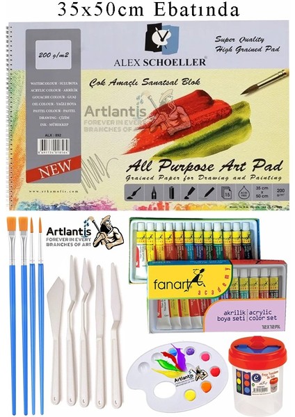 Alex Schoeller Çok Amaçlı Sanatsal Blok 35X50 200 gr 15 Yaprak Fanart 12 Renk 12 ml Akrilik Boya Plastik Spatula Fırça