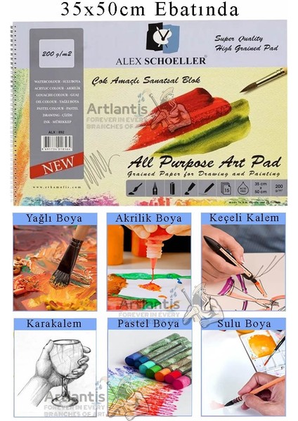 Alex Schoeller Çok Amaçlı Sanatsal Blok 35X50 200 gr 15 Yaprak Fanart 12 Renk 12 ml Akrilik Boya Plastik Spatula Fırça fiyatları