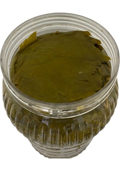 Katkısız, Doğal Ev Yapımı 2 kg Salamura Asma Yaprağı