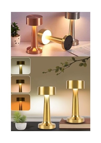 Vista Şarjlı Dokunmatik Dekoratif Dim Edilebilir Masa Lambası (Rosegold, Dalya)