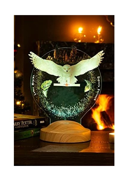 Potter Hediyesi Hogwarts Hedwig 3D LED Lamba, Hediye Baykuş Gece Lambası
