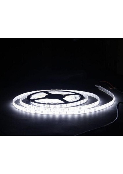 Beyaz Şerit LED Iç Mekan - 5 Metre