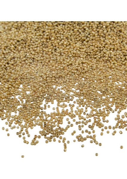 Kaplama Light Gold (11/0) 2 mm Kum Boncuğu 100 gr fiyatları