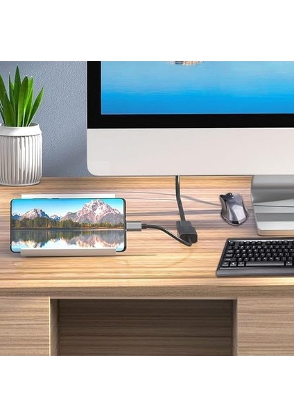 Type-C To Displayport Adaptör USB C Dp Çevirici Notebook Pc Bilgisayar Uyumlu HC67