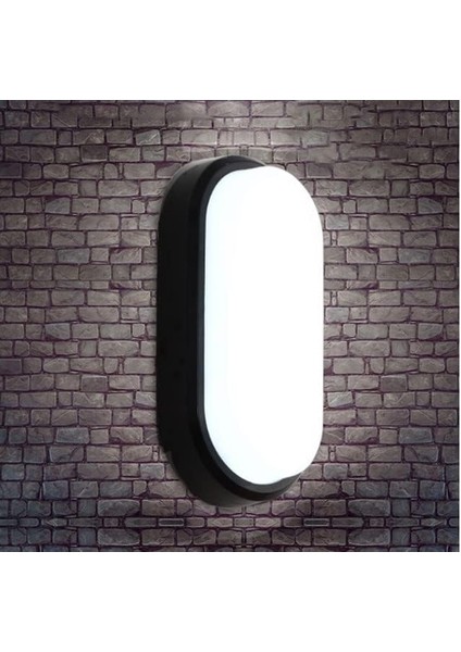 20W Oval Siyah LED Nem Su Geçirmez Banyo Bahçe Teras Kiler Garaj Modern Tavan Lambası LED Lamba 6500K Beyaz Işık IP64 LED