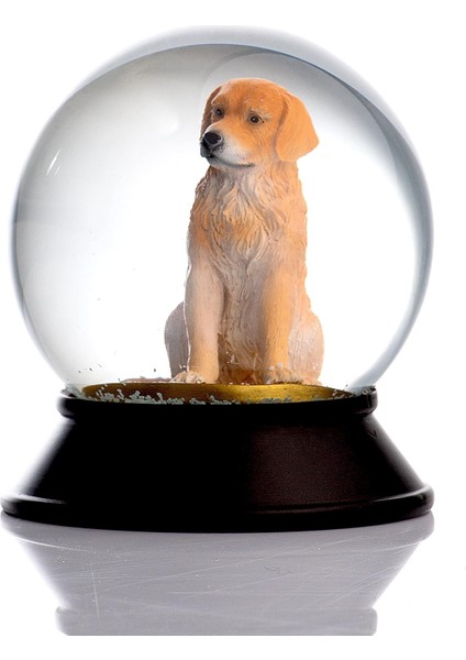 Cam ve Reçine Altın Patiler Köpek Golden Retriever Kar Küresi Hediye