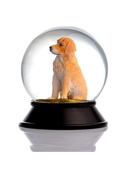 Cam ve Reçine Altın Patiler Köpek Golden Retriever Kar Küresi Hediye