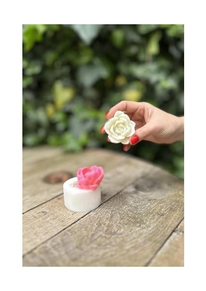 Concept Laui Sukulent Mum Kalıbı (Silikon)