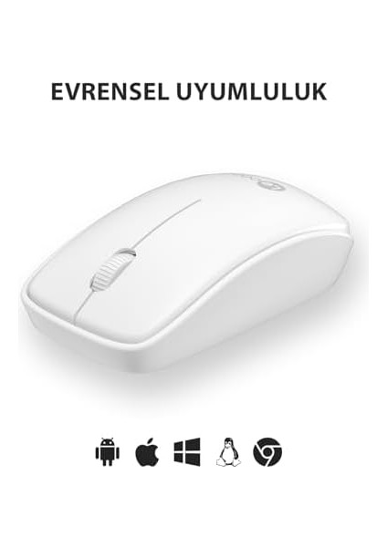 WS208 Kablosuz 1200DPI 3 Tuşlu Sessiz Pc, Mac, Dizüstü Bilgisayar Için, USB Mini Alıcı ile Optik Mouse Beyaz