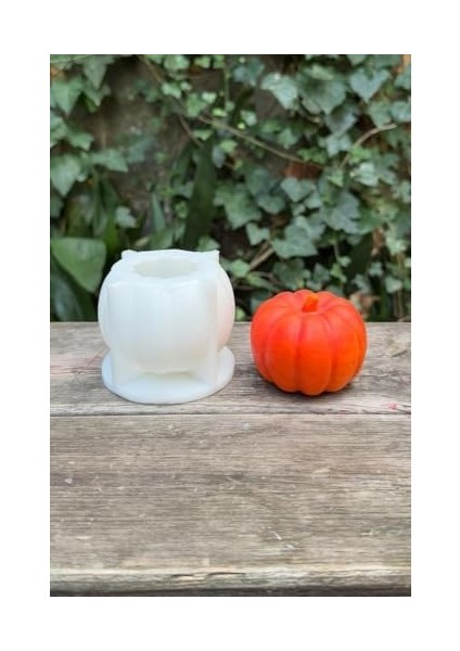 Concept Pumpkin Büyük Boy Mum Kalıbı (Silikon)