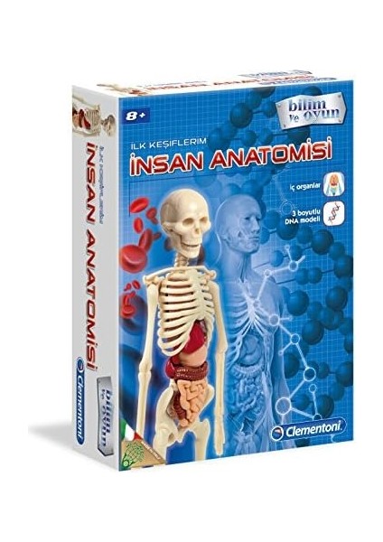 Bilim ve Oyun - Insan Anatomisi Oyuncak