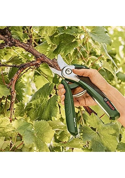 Home And Garden Yedek Kesici Bıçak (Easyprune Için)