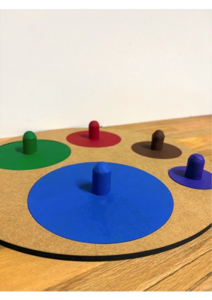 Montessori Doğal Ahşap Renkli Disk Oyun Seti - Eğitici ve Eğlenceli modelleri